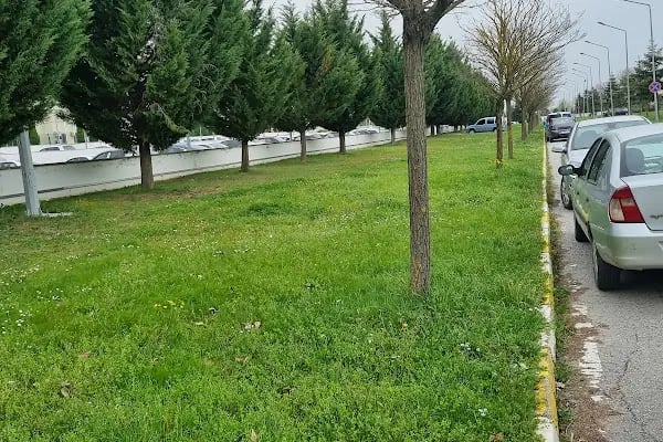 Sakarya Valiliği - Resim 5