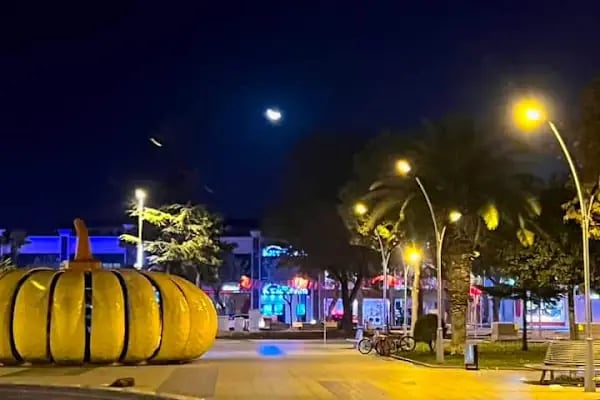 Sakarya Valiliği - Resim 8