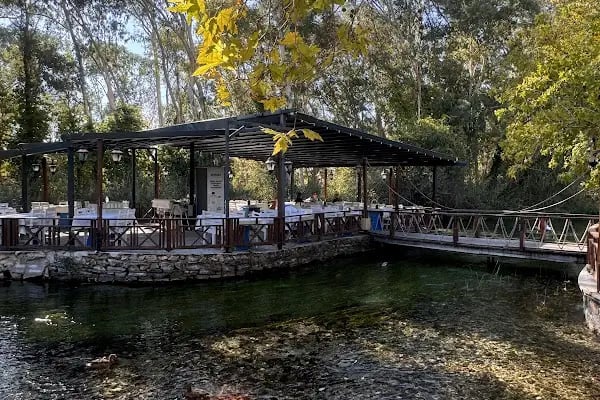 West Cafe Bistro - Resim 10