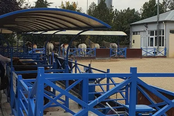 Altınpark fuar alanı - Resim 17