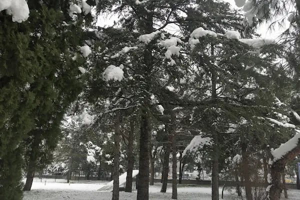 Bursa Teknik Üniversitesi Yıldırım Bayezid Yerleşkesi - Resim 9