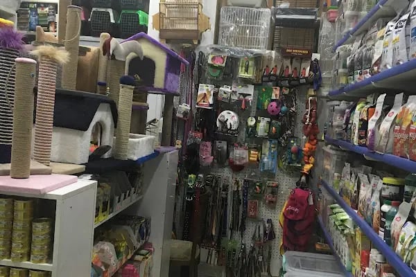 Mozaik Petshop - Resim 17