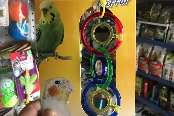 Mozaik Petshop - Resim 20