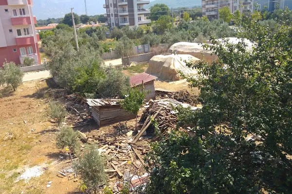 Muğla Büyükşehir Belediyesi - Resim 10