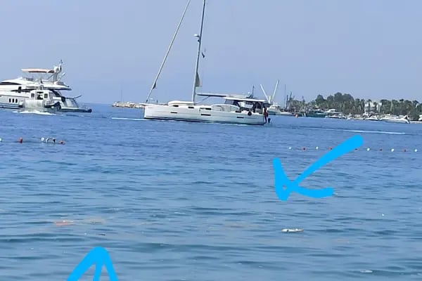 Muğla Büyükşehir Belediyesi - Resim 15