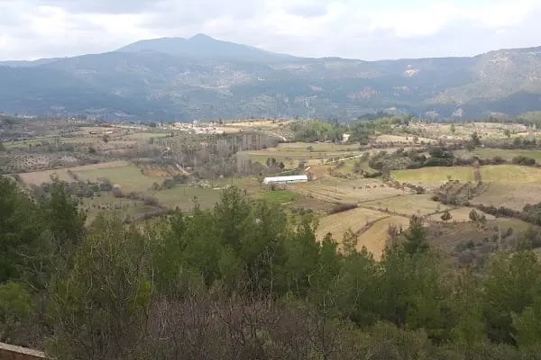 Muğla Büyükşehir Belediyesi - Resim 6