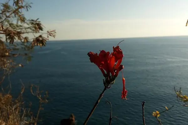 Yeşilbahçe Falez Plajı - Resim 11