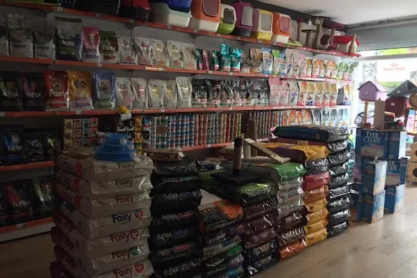 Yakamoz Petshop Ataşehir Şube - Resim 3