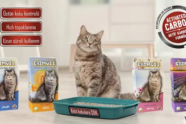 Yakamoz Petshop Ataşehir Şube - Resim 14