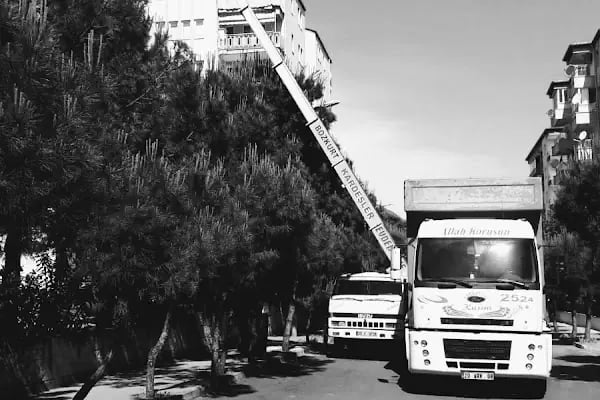 Denizli Evden eve Bozkurt Nakliyat - Resim 15