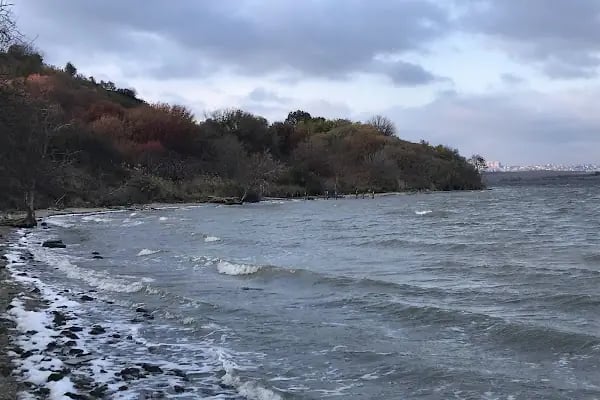 İstanbul Üniversitesi Avcılar Kampüsü - Resim 4