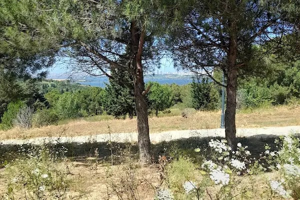 İstanbul Üniversitesi Avcılar Kampüsü - Resim 18