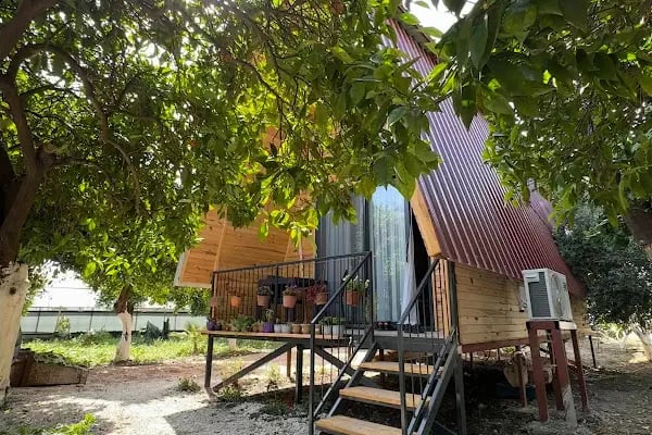 Orange Garden Bungalow - Resim 3