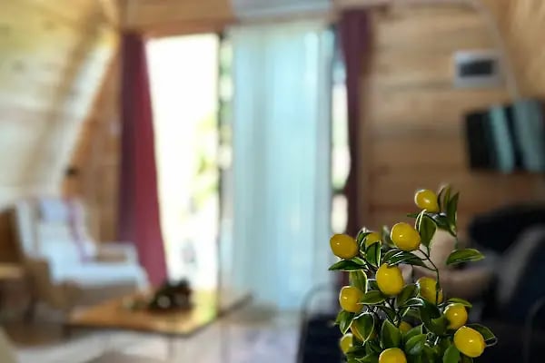 Orange Garden Bungalow - Resim 4