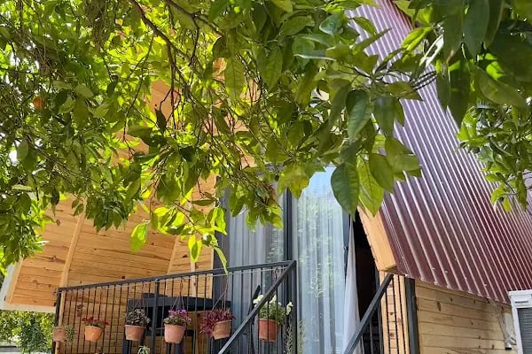 Orange Garden Bungalow - Resim 13