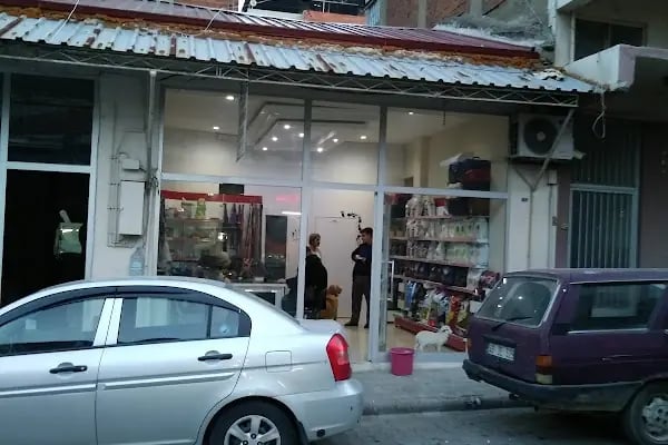 ALBATROS VETERİNER KLİNİĞİ - Resim 4