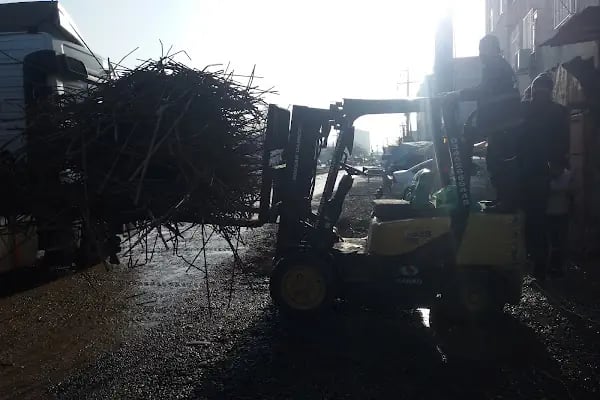 diyarbakır kiralık forklif ve manitou ve vinç işi yapılır - Resim 11