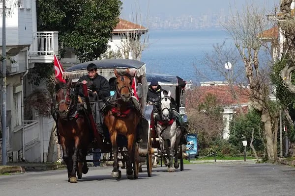 Yakamoz Hotel - Resim 14