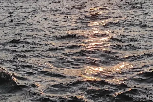 Deniz Harp Okulu Heybeliada Yerleşkesi Komutanlığı - Resim 3
