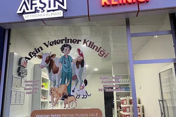 AFŞİN VETERİNER KLİNİĞİ - Resim 2