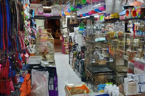 ZEBRA PETSHOP - Resim 3