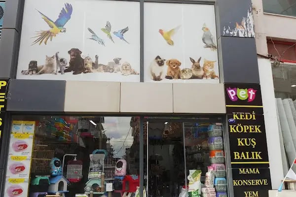 ZEBRA PETSHOP - Resim 12