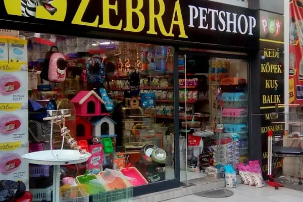 ZEBRA PETSHOP - Resim 10
