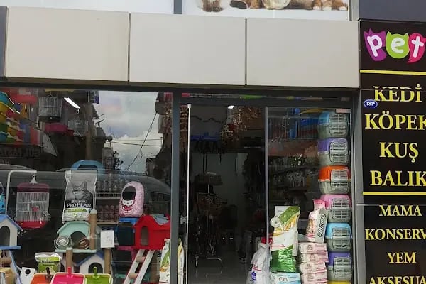 ZEBRA PETSHOP - Resim 14