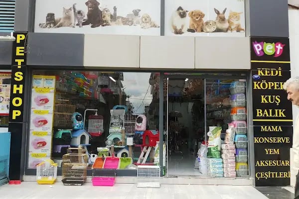 ZEBRA PETSHOP - Resim 13