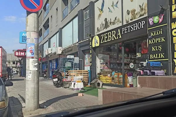 ZEBRA PETSHOP - Resim 5
