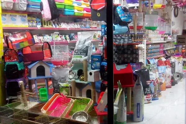 ZEBRA PETSHOP - Resim 9