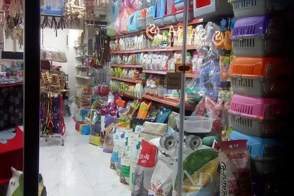 ZEBRA PETSHOP - Resim 8