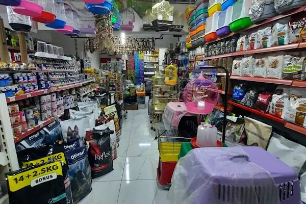 ZEBRA PETSHOP - Resim 2