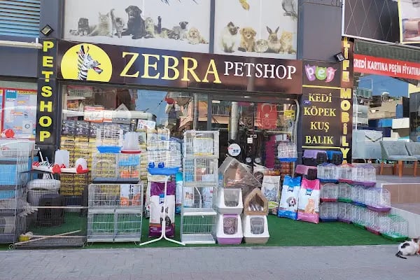 ZEBRA PETSHOP - Resim 7