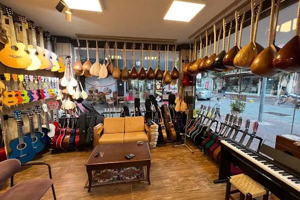 Bamteli Musical Instruments - Resim 11
