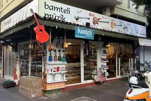 Bamteli Musical Instruments - Resim 1