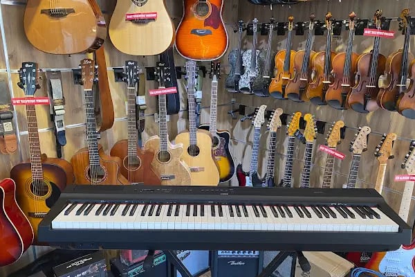 Bamteli Musical Instruments - Resim 19