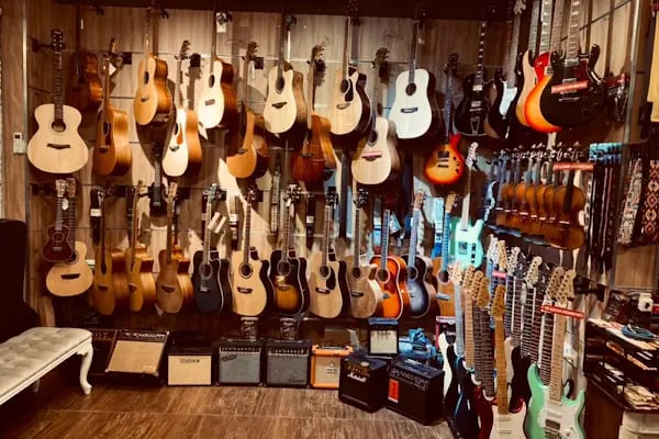 Bamteli Musical Instruments - Resim 6