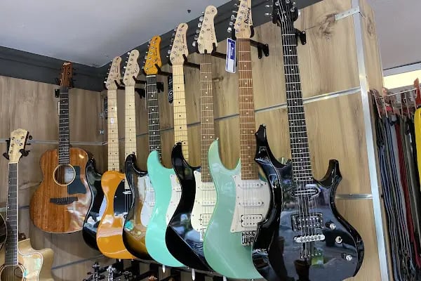 Bamteli Musical Instruments - Resim 10