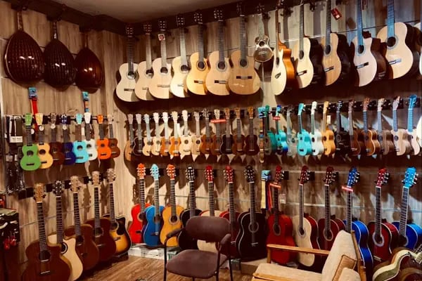 Bamteli Musical Instruments - Resim 9