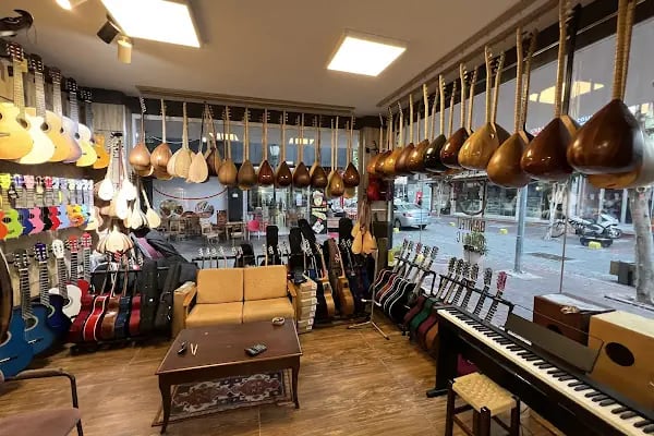Bamteli Musical Instruments - Resim 14