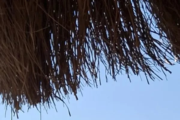 Burfaş beach - Resim 7
