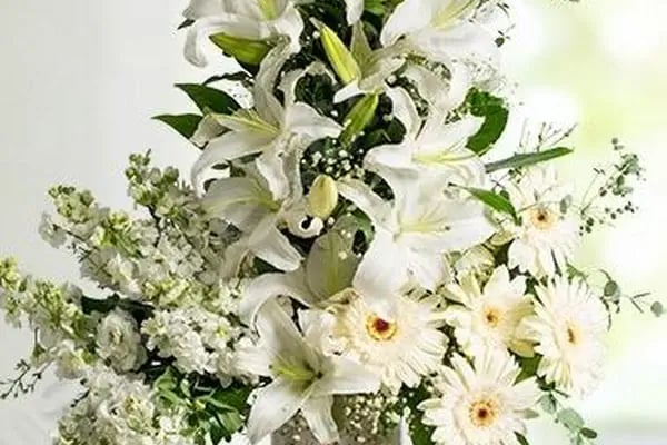 Buse Çiçekçilik Bodrum - Resim 15