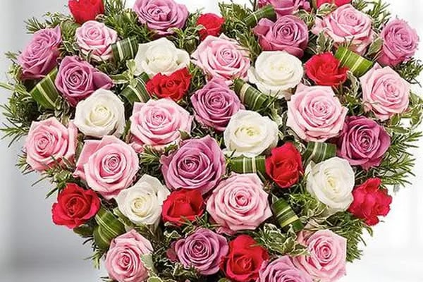 Buse Çiçekçilik Bodrum - Resim 12