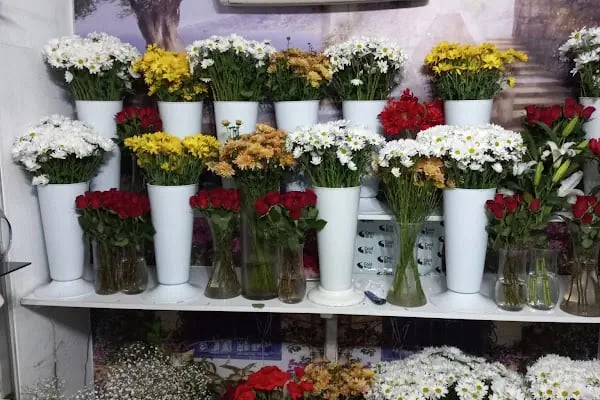 Buse Çiçekçilik Bodrum - Resim 1