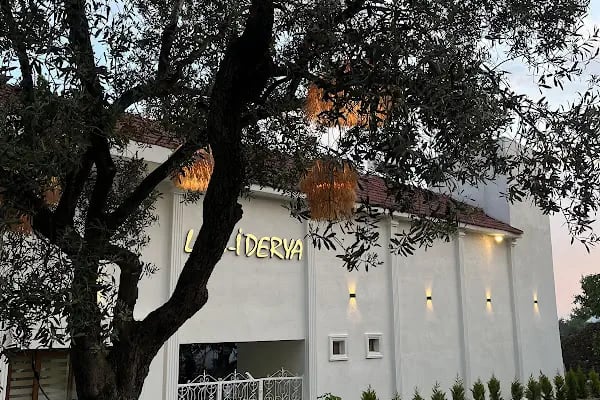 Mint Event Organizasyon &amp; Davet evi Gemlik - Resim 8