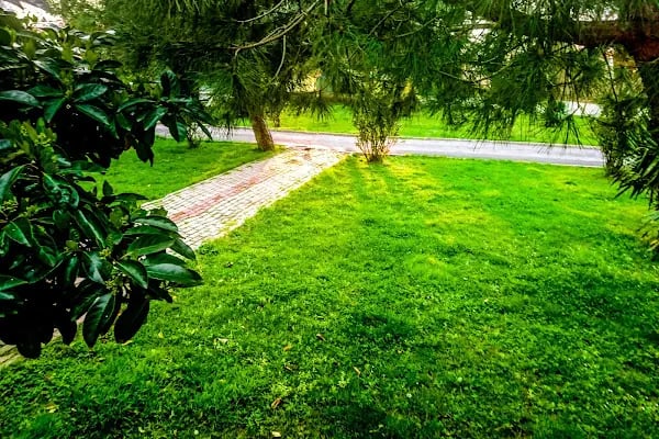 Karacaköy Jandarma Karakol Komutanlığı - Resim 8