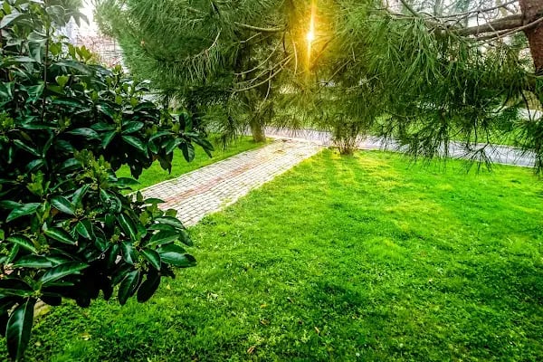 Karacaköy Jandarma Karakol Komutanlığı - Resim 3