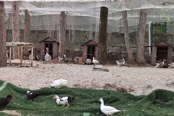 İNEGÖL DOĞA İLK VE ORTAOKULU - Resim 4