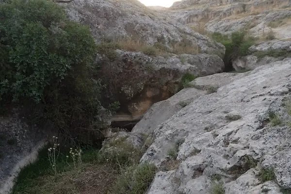 Poyraz kanyonu seyir terası - Resim 4
